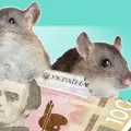 Пошкоджена 100 гривнева банкнота